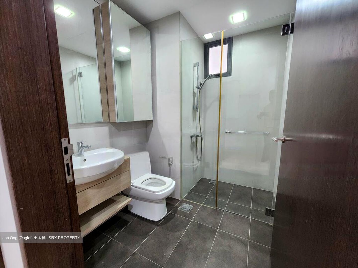 Terrene At Bukit Timah (D21), Condominium #484328191